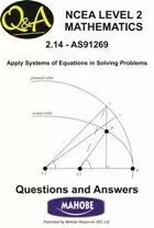 Systems of Equations (NCEA Level 2)